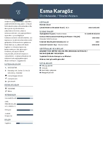 Yönetici Asistanı Cv Örnekleri cv indir